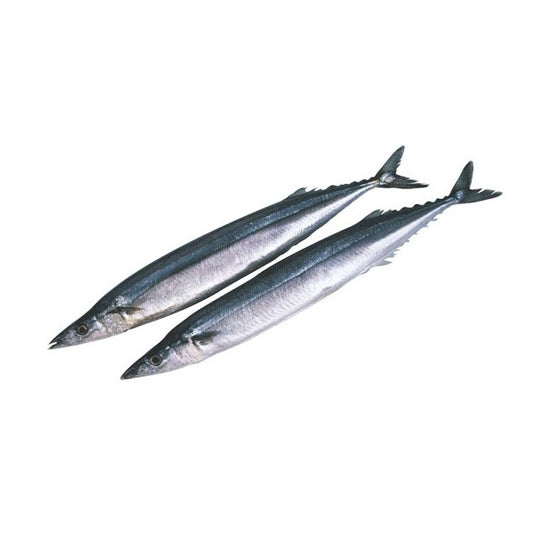 18880  : 냉동꽁치  : 9.3kg : FZN PACIFIC SAURY