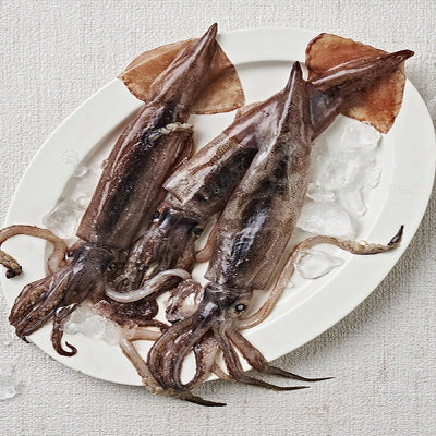 Fzn Squid (Size L  5-800g) 10.3kg 물오징어